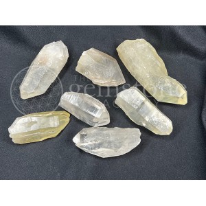 Lemurian Golden and Clear Larger Points 