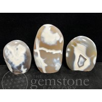 Orca Agate Free Form