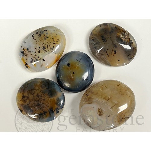 Dendrite Agate Polished Palm Stones
