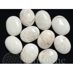 Soap Stone - Scolecite (5 Lb Holiday Special)