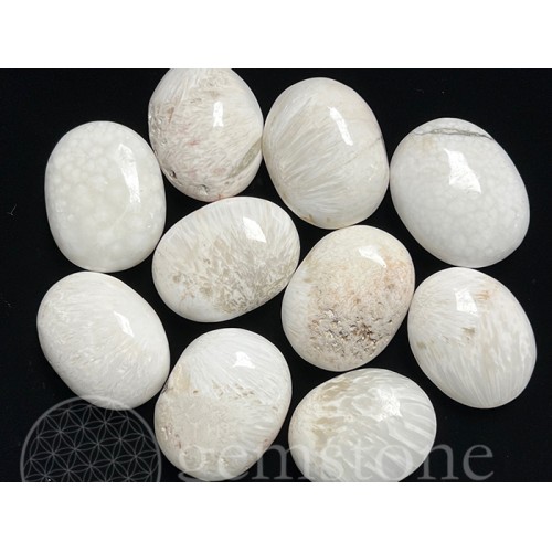 Soap Stone - Scolecite (5 Lb Special)