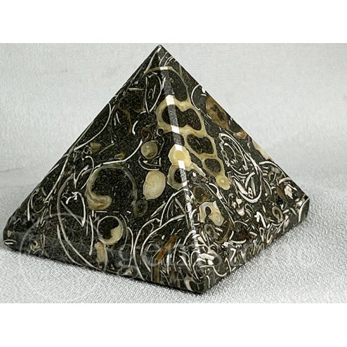 Turritella (Elimia) Agate Pyramid