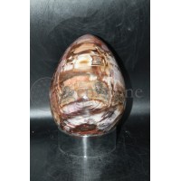 Petrified Wood Egg #67