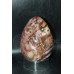 Petrified Wood Egg #67