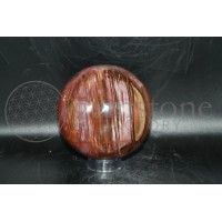 Petrified Wood Sphere #60