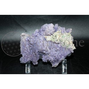 Grape Amethyst Cluster #51