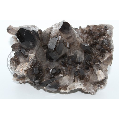 Smoky Quartz Cluster #42