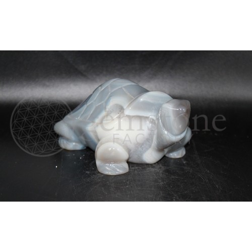 Agate Turtle #28