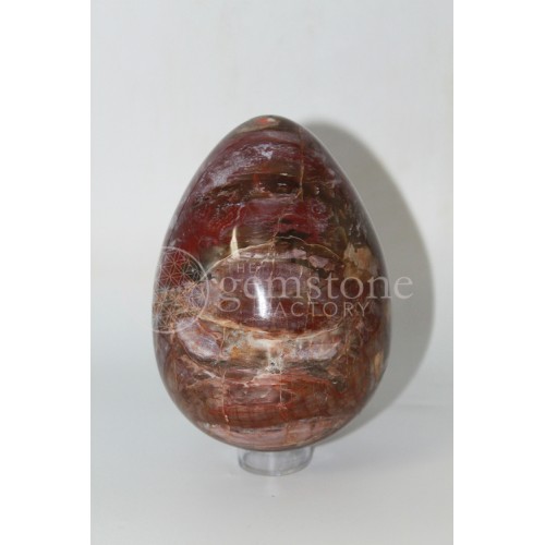 Petrified Wood Egg #16