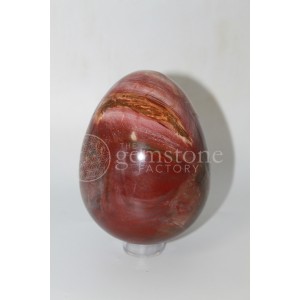 Petrified Wood Egg #17