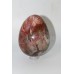 Petrified Wood Egg #17