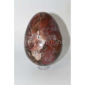 Petrified Wood Egg #18