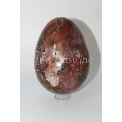 Petrified Wood Egg #18