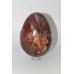 Petrified Wood Egg #18