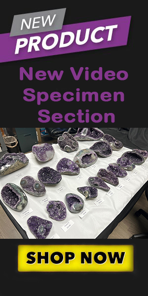 Video Specimen Section
